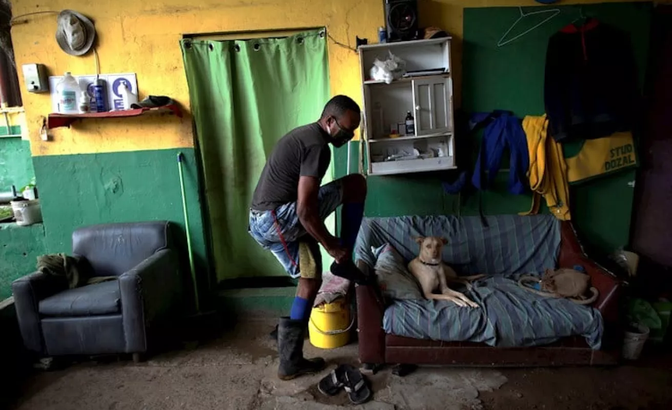 ¡A correr! Animales felices en el HipoRemón 