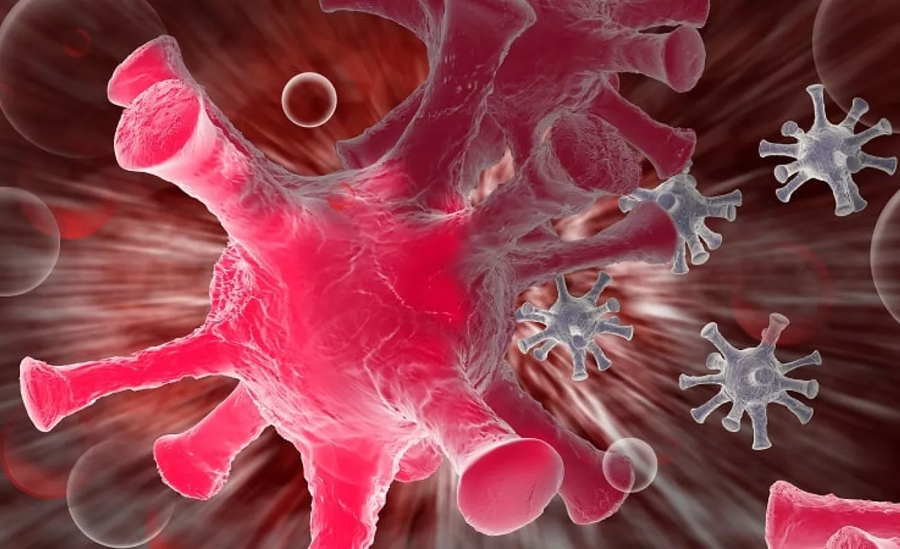 El Halloween del coronavirus (Fotos)