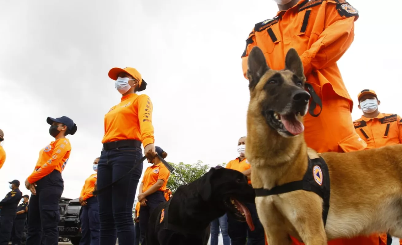 La Fuerza de Tarea Conjunta activa el operativo "Océano 2020"