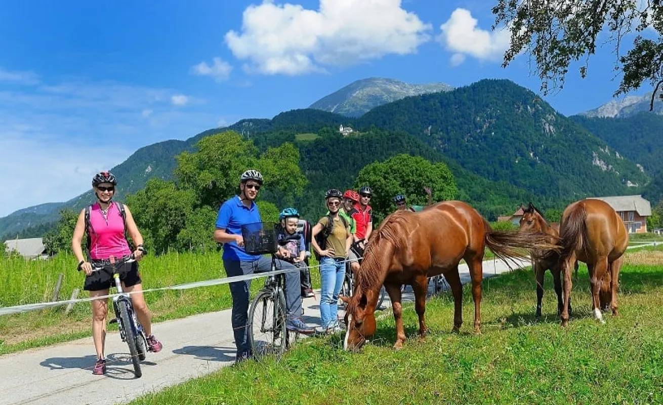 Eslovenia, pasión por el ciclismo (Fotos)