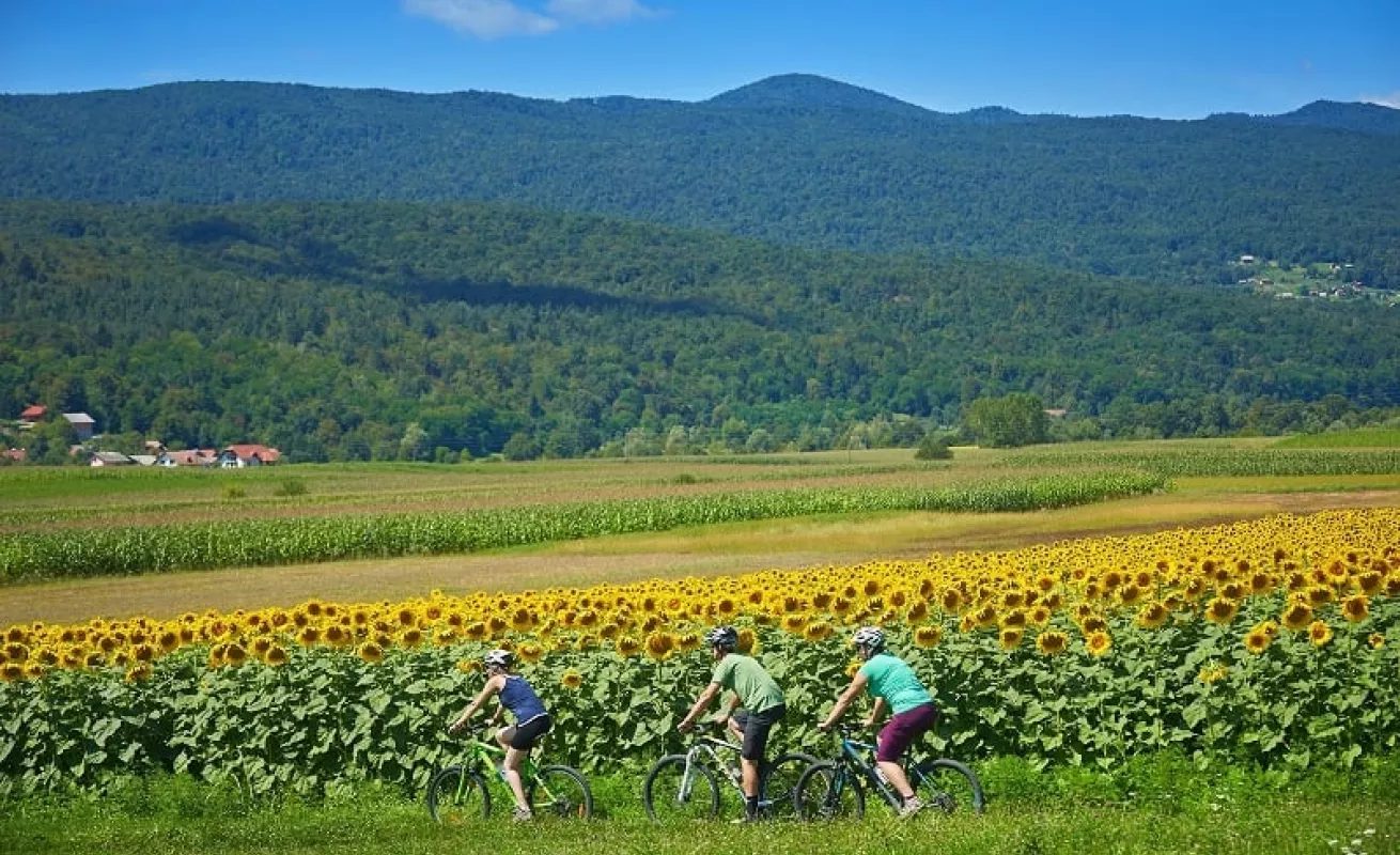 Eslovenia, pasión por el ciclismo (Fotos)