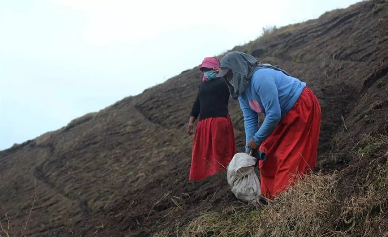Las lluvias y los deslaves afectaron los cultivos agrícolas (Fotos)