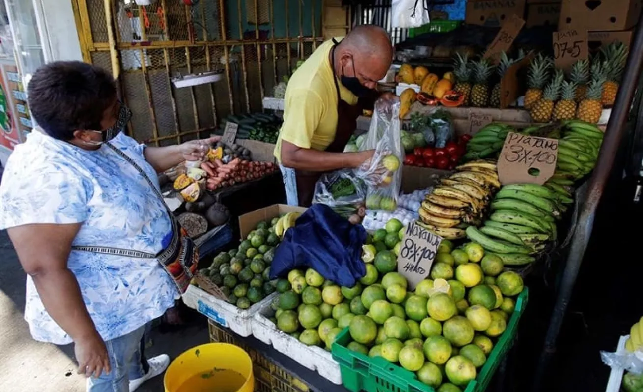 Las lluvias y los deslaves afectaron los cultivos agrícolas (Fotos)