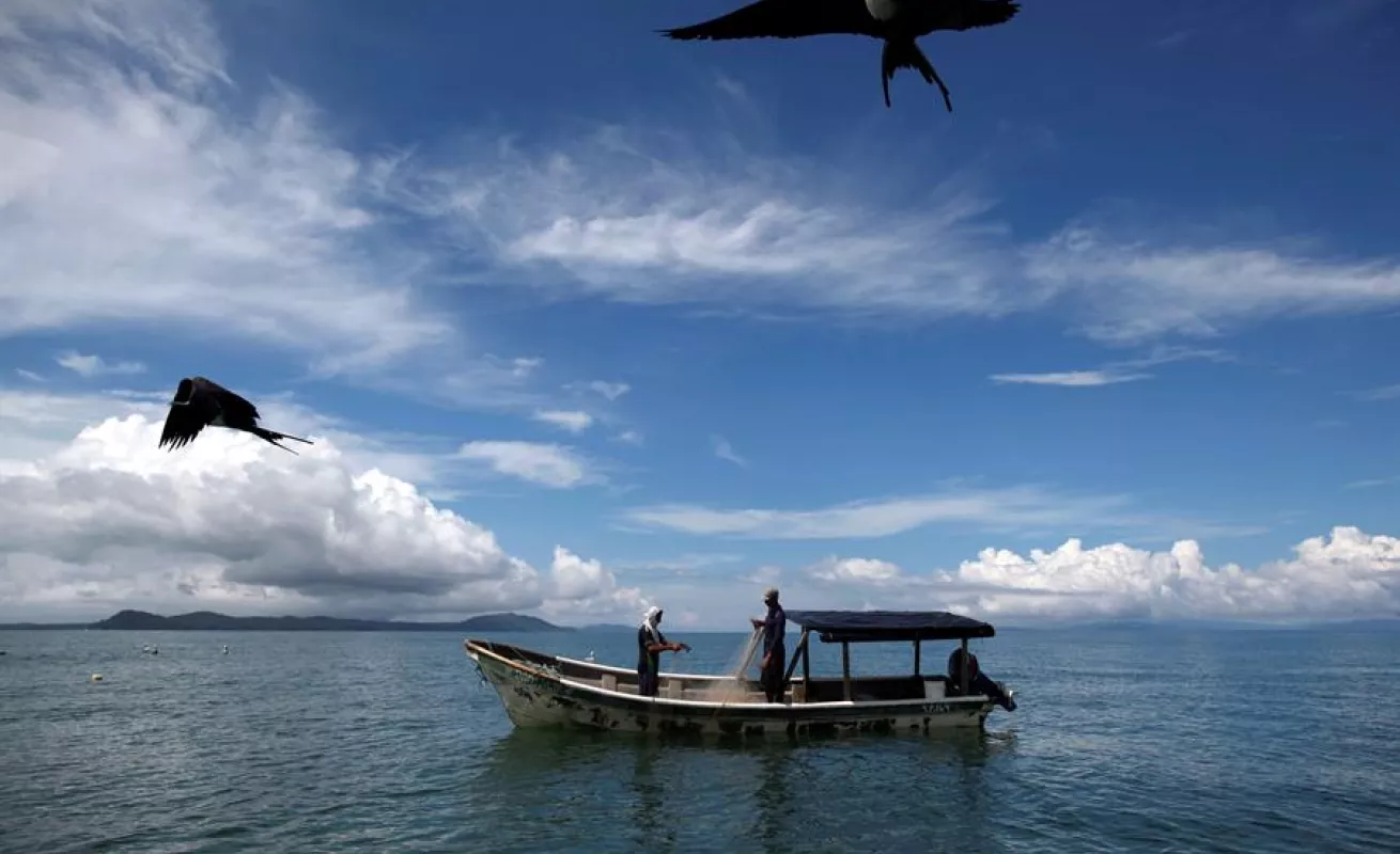 A quien madruga Dios le ayuda: así es la vida del puerto Palo Seco en Panamá
