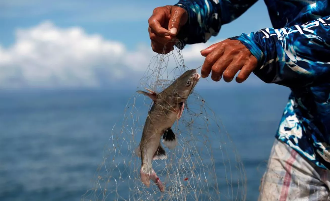 A quien madruga Dios le ayuda: así es la vida del puerto Palo Seco en Panamá