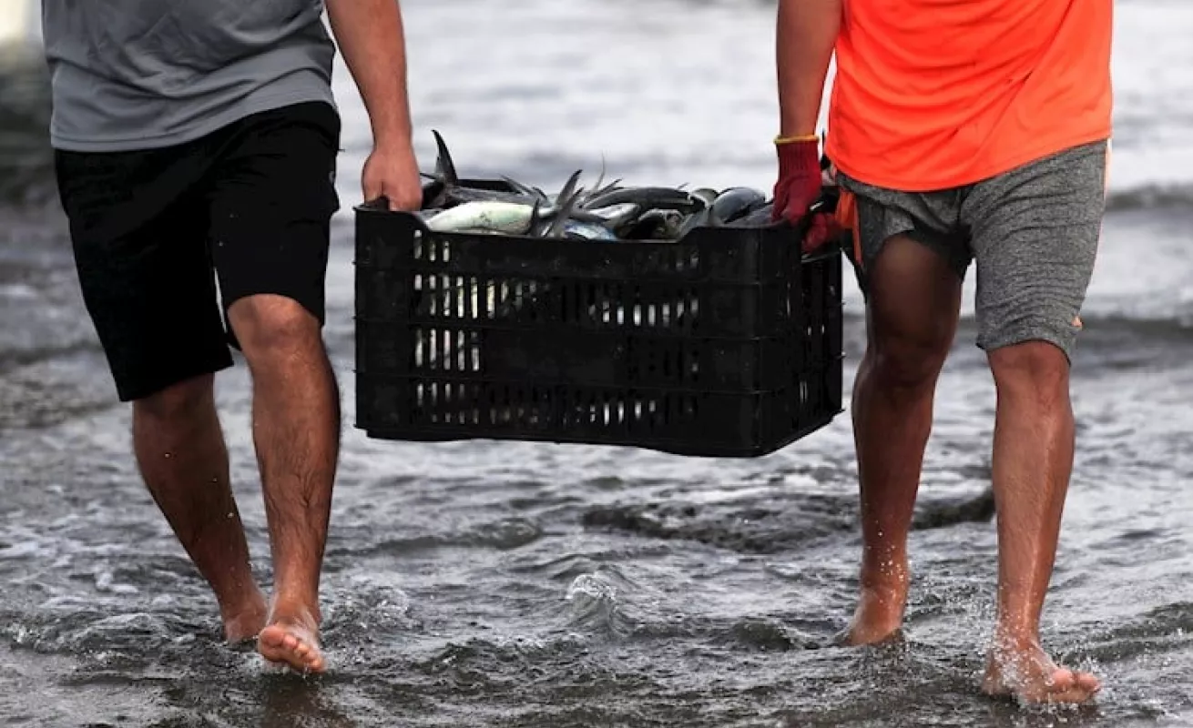 A quien madruga Dios le ayuda: así es la vida del puerto Palo Seco en Panamá