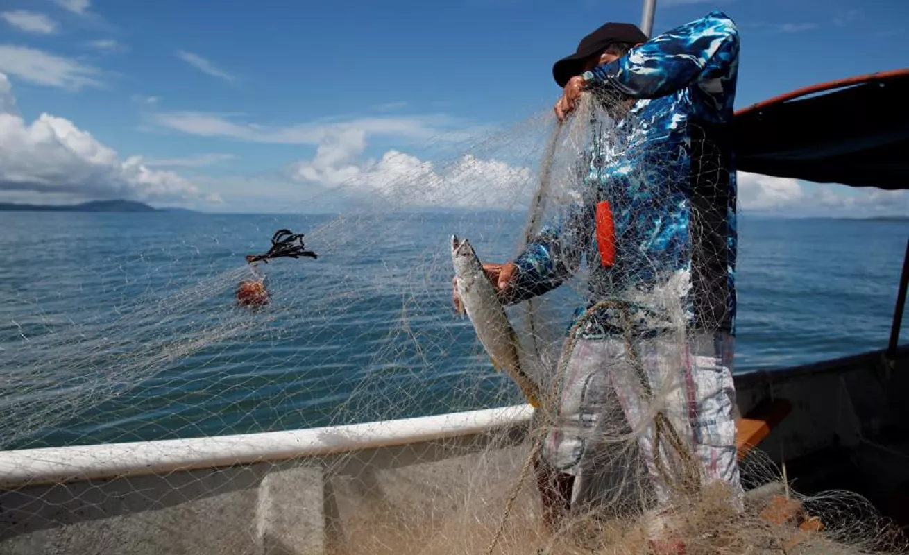 A quien madruga Dios le ayuda: así es la vida del puerto Palo Seco en Panamá