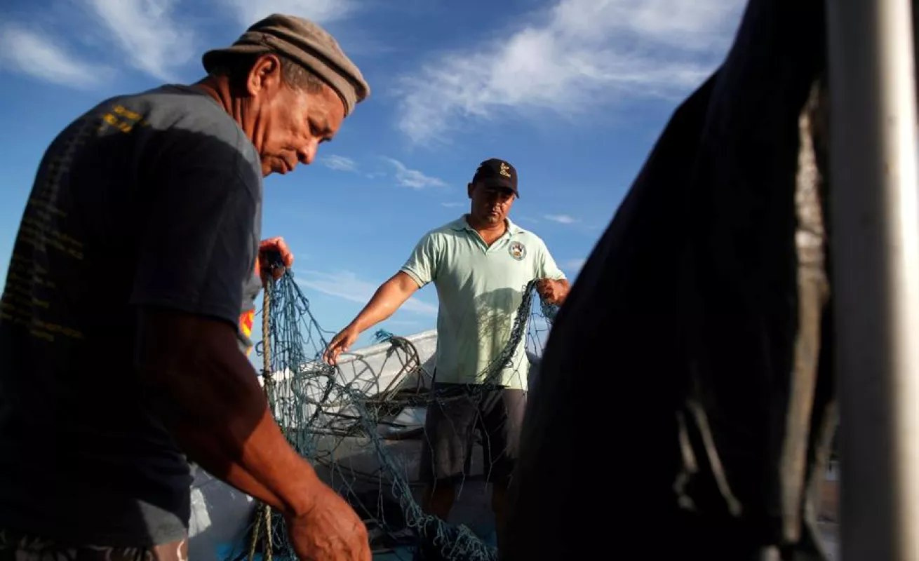 A quien madruga Dios le ayuda: así es la vida del puerto Palo Seco en Panamá