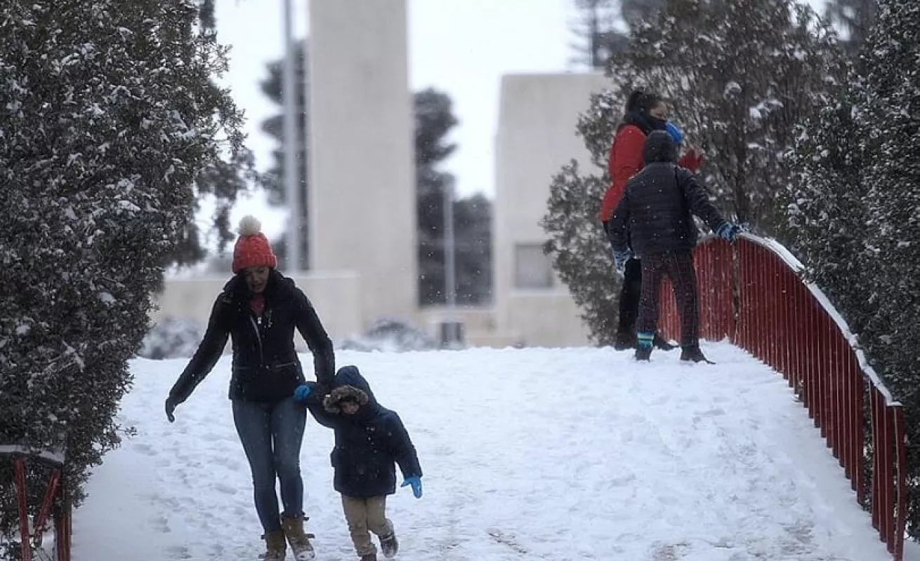Frente frío ocasiona nevada en norte de México; hay varios muertos y miles de afectados por apagones (Fotos)
