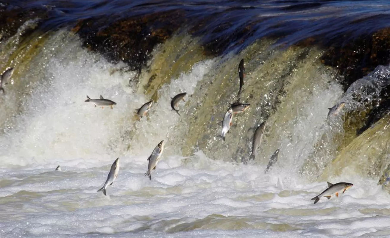 Manifestaciones, pandemia y días soleados son lo más llamativo