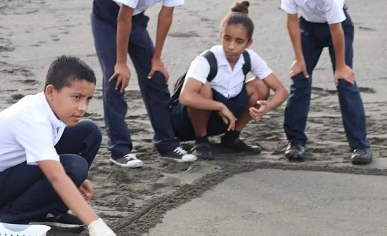 Ecoruta de la tortuga de Mariato