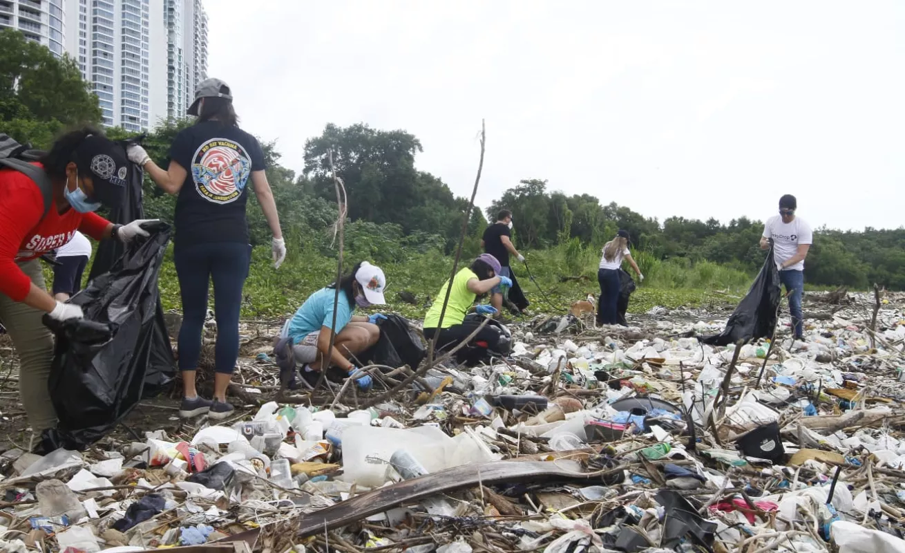 Así fue la limpieza de playa "Virginística" de Mayer 
