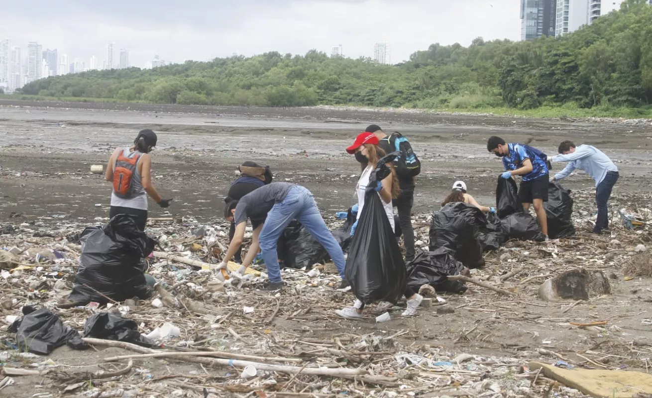 Así fue la limpieza de playa "Virginística" de Mayer 