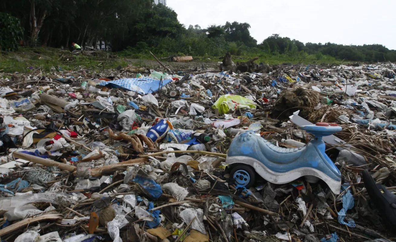 Así fue la limpieza de playa "Virginística" de Mayer 