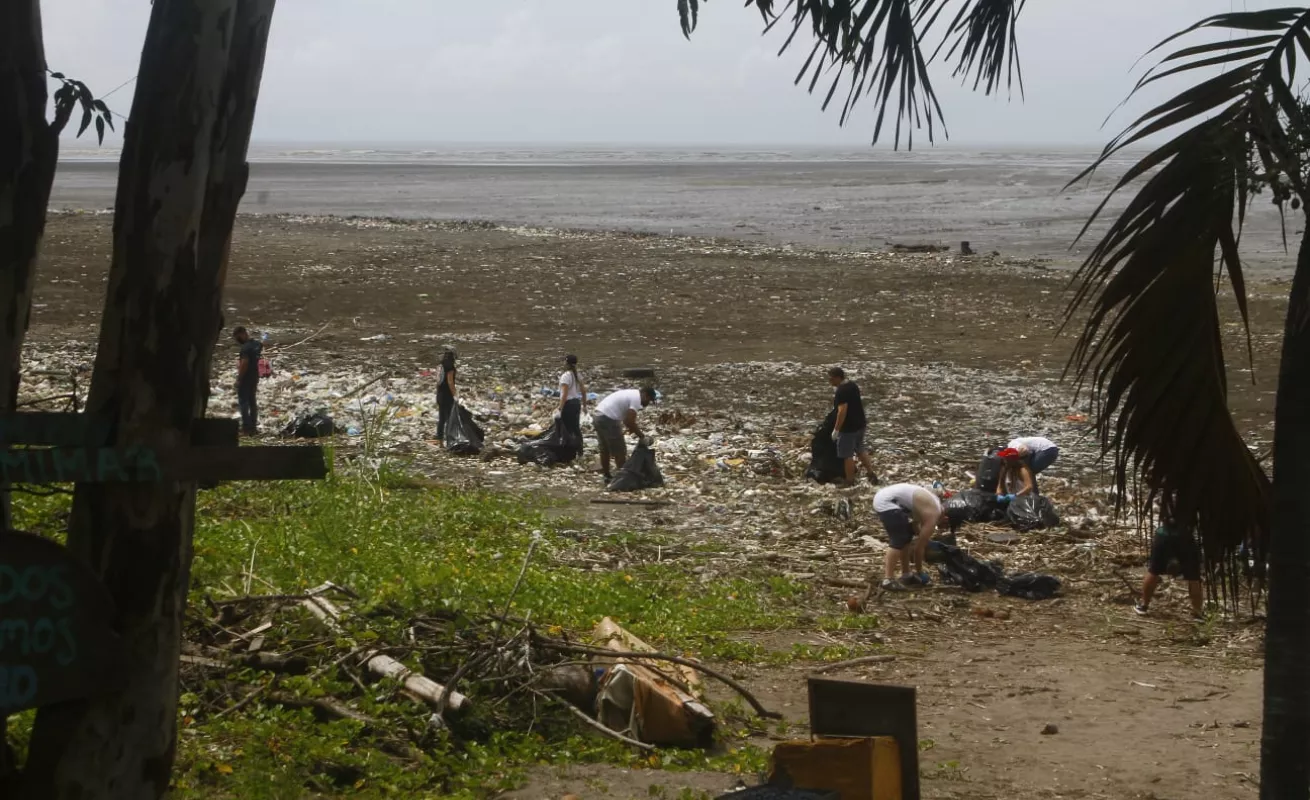 Así fue la limpieza de playa "Virginística" de Mayer 