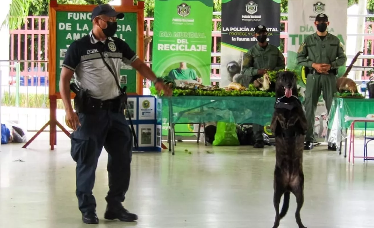 Amo a mi mascota (Fotos)