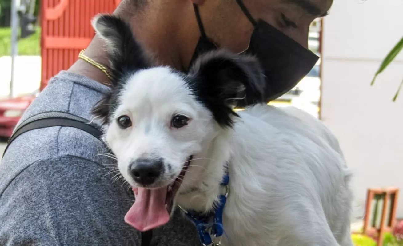 Amo a mi mascota (Fotos)