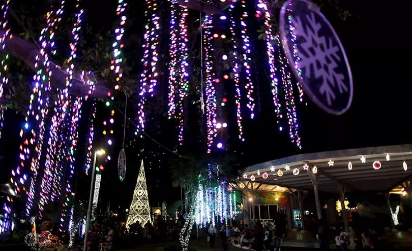 "Vive tu Navidad Panamá" (Fotos)