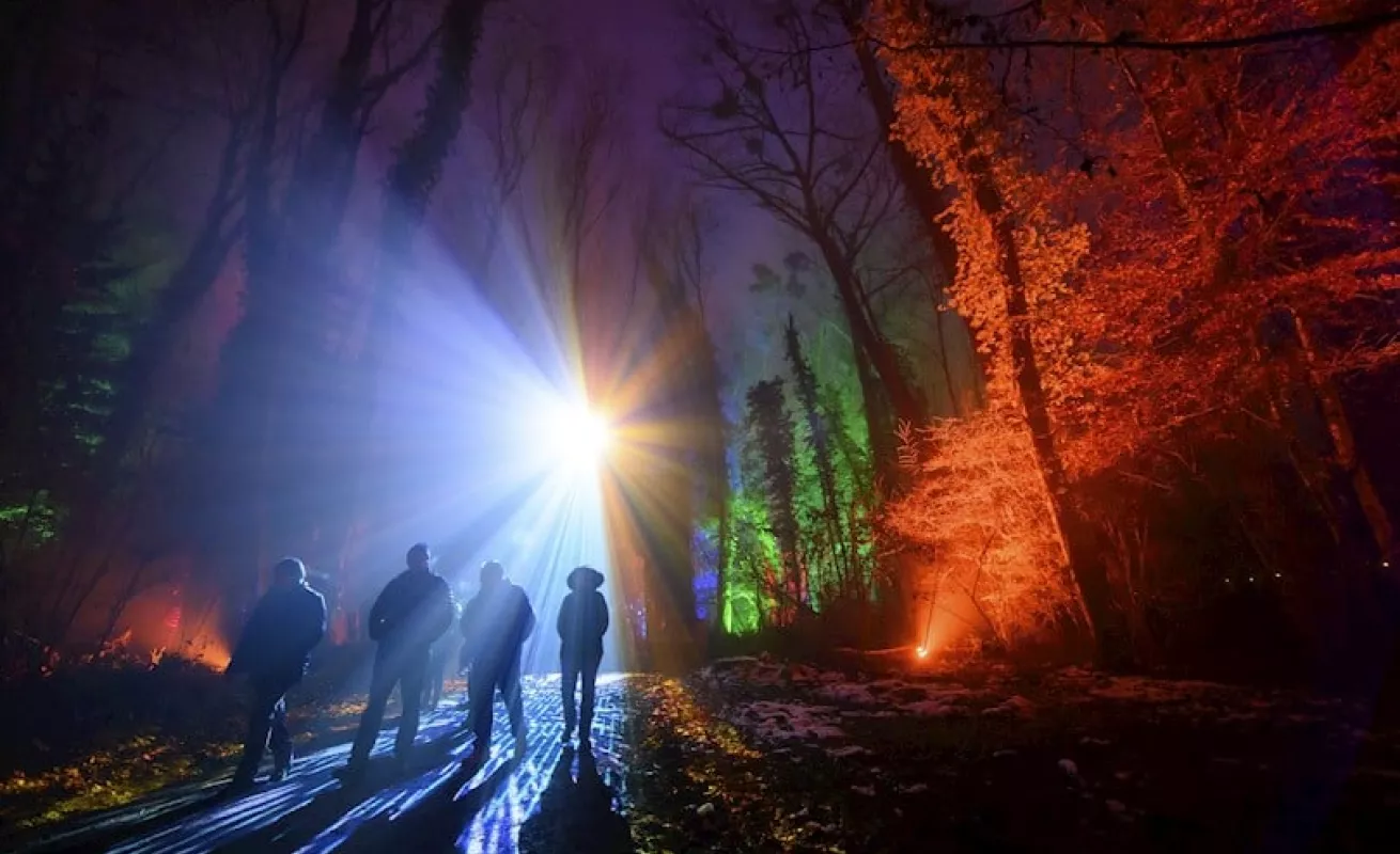 Festival de Luces Broye Luminis (Fotos)