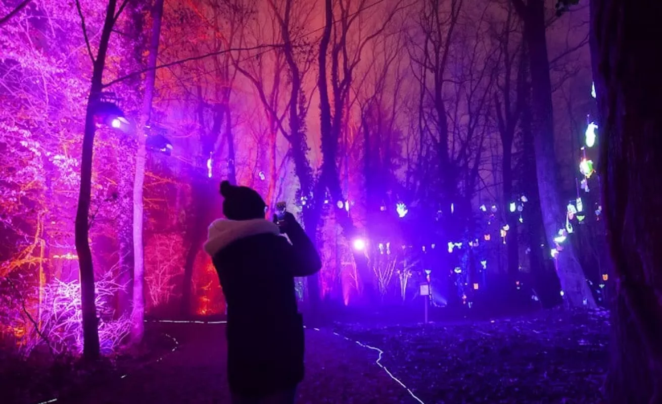 Festival de Luces Broye Luminis (Fotos)