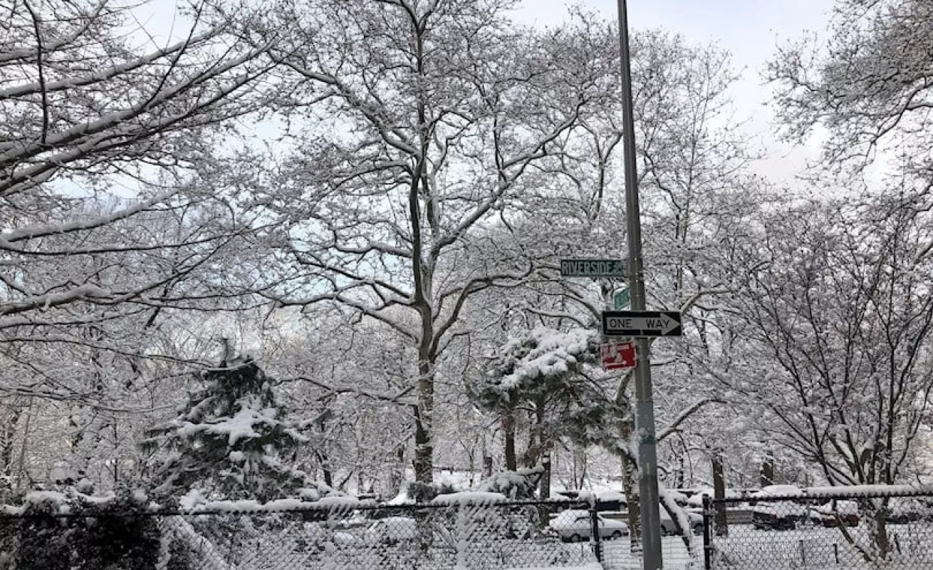  Nueva York amaneció cubierta con la primera nieve del año (Fotos)