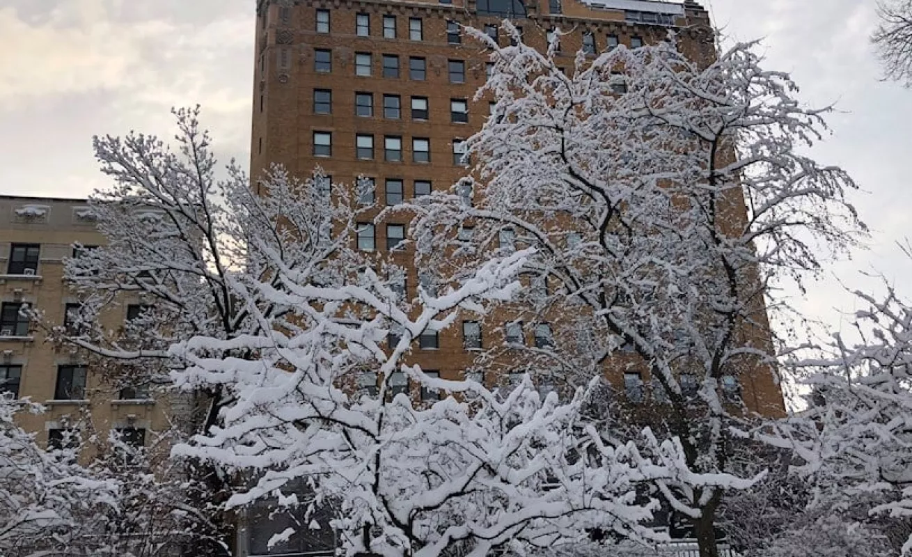  Nueva York amaneció cubierta con la primera nieve del año (Fotos)