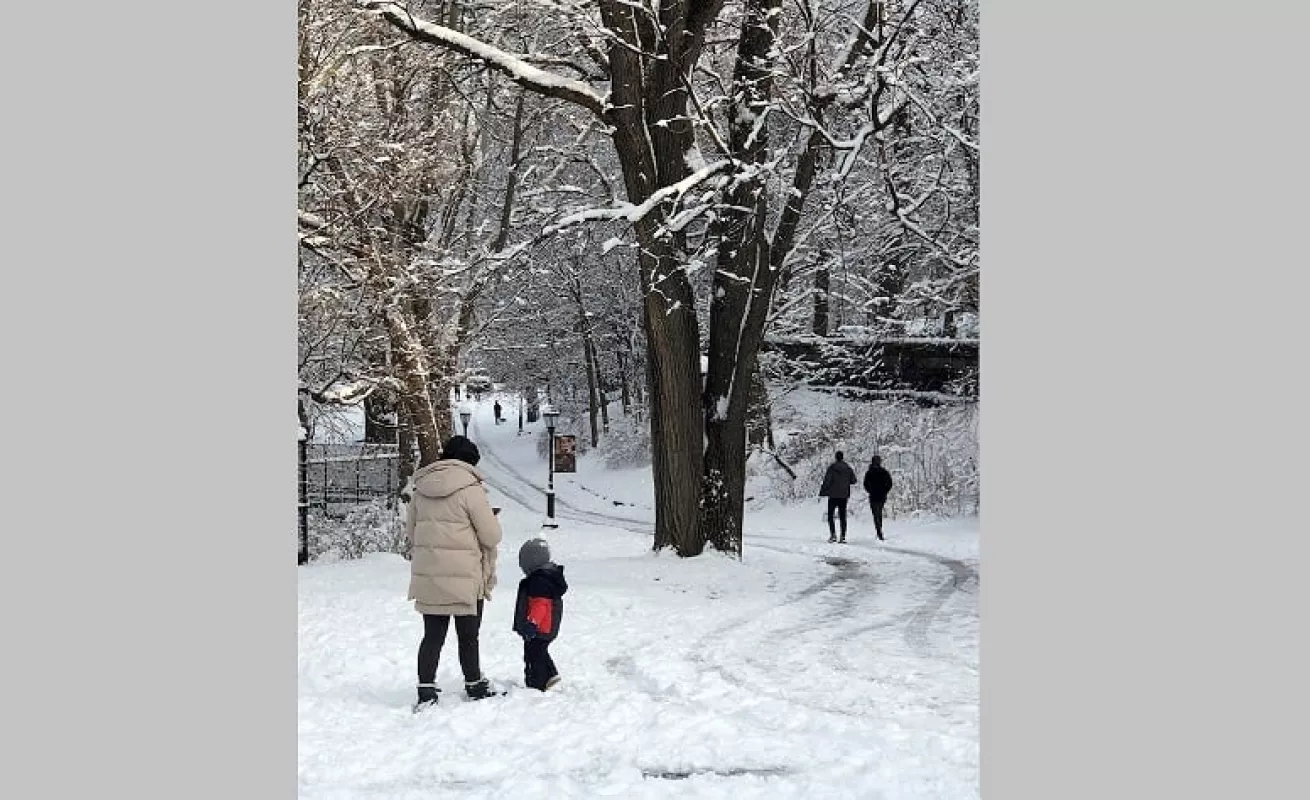  Nueva York amaneció cubierta con la primera nieve del año (Fotos)