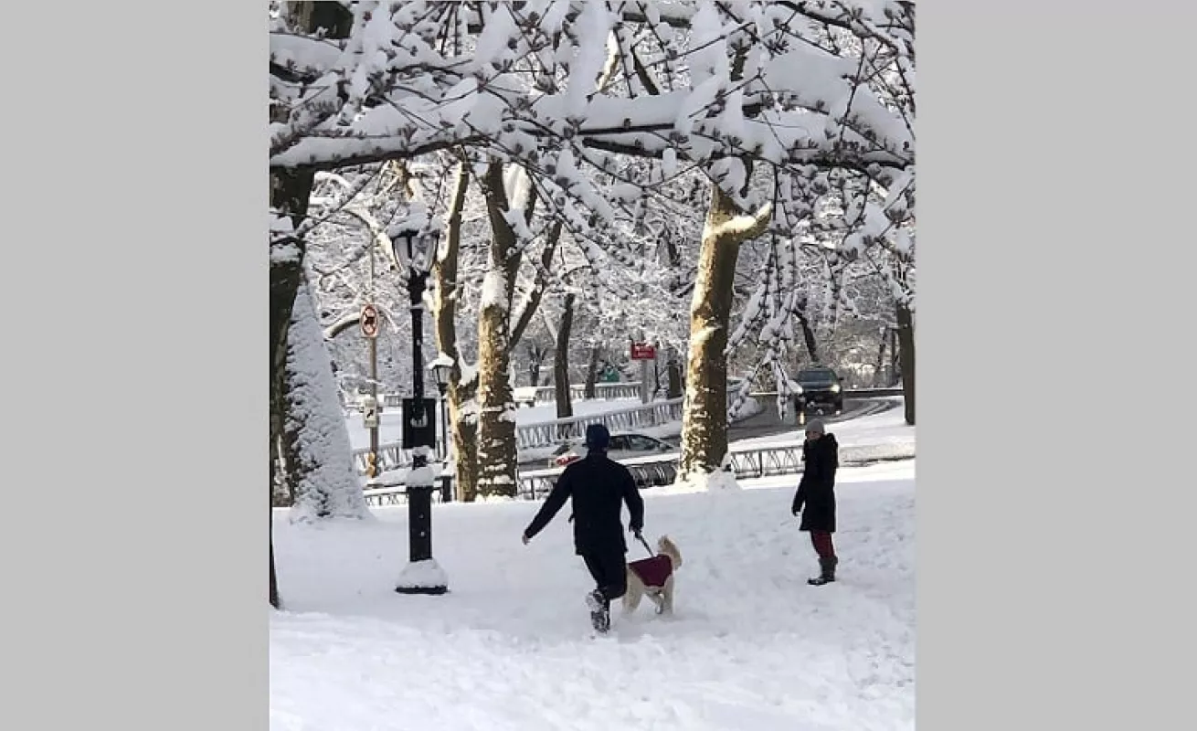 Nueva York amaneció cubierta con la primera nieve del año (Fotos)