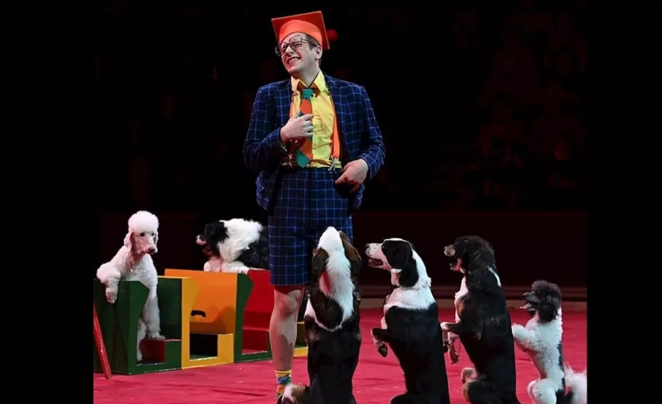 Festival Internacional de Circo de Budapest (Fotos)