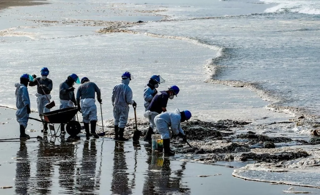 Crece el impacto ambiental en costa de Perú por derrame de petróleo de Repsol (Fotos)