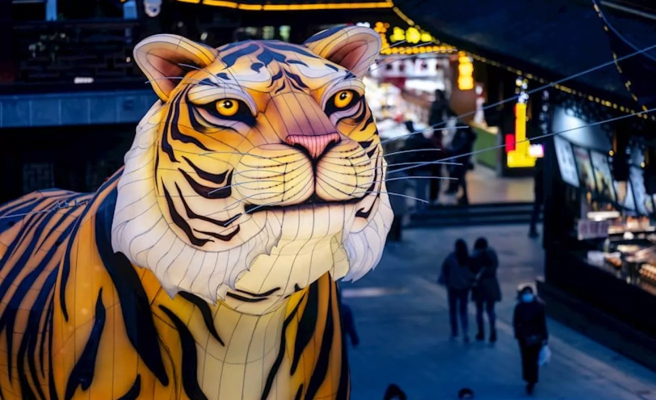 Preparativos para el Año Nuevo chino, el año del Tigre (Fotos)