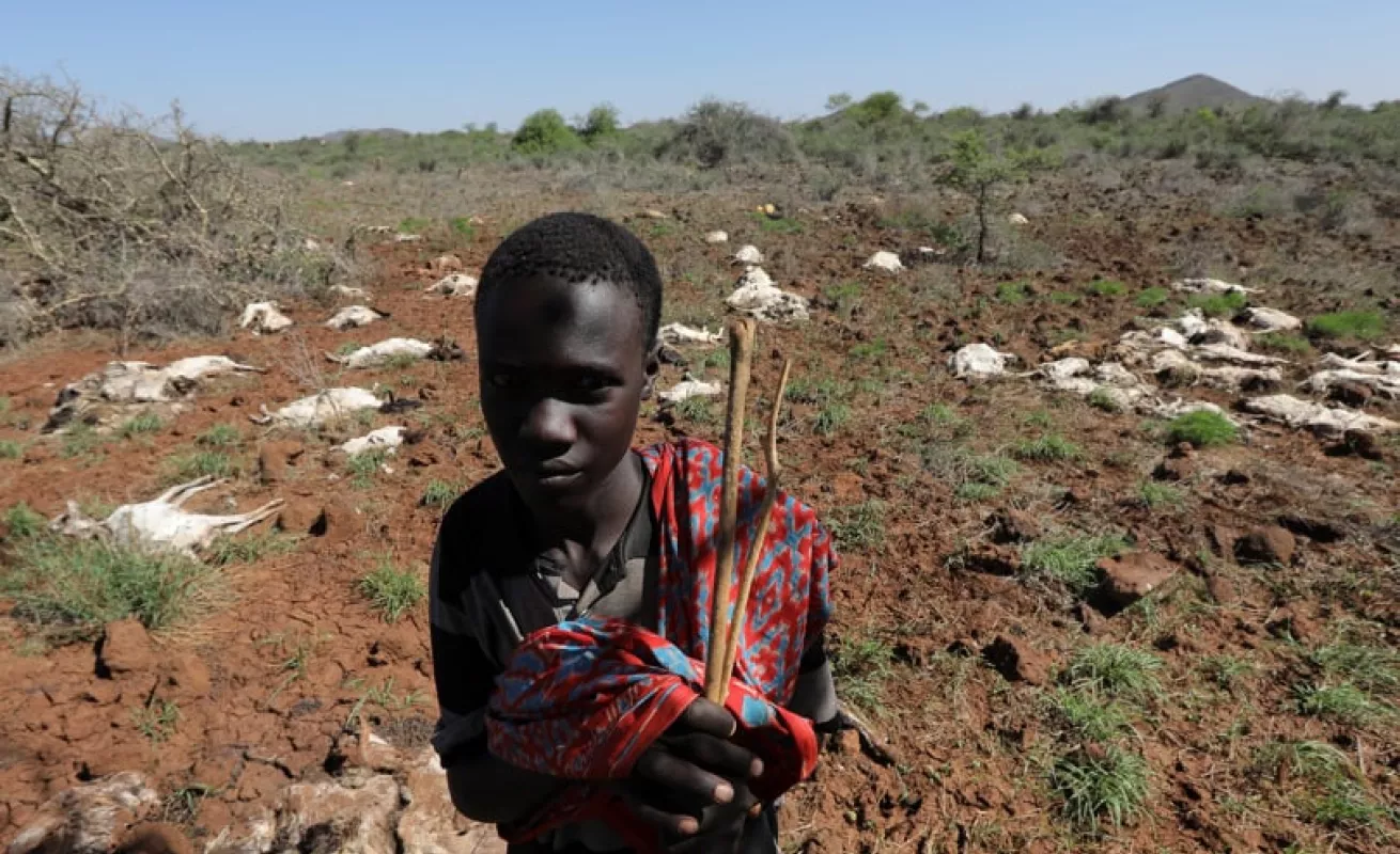 Sequía, problema que afecta a millones de personas (Fotos) 