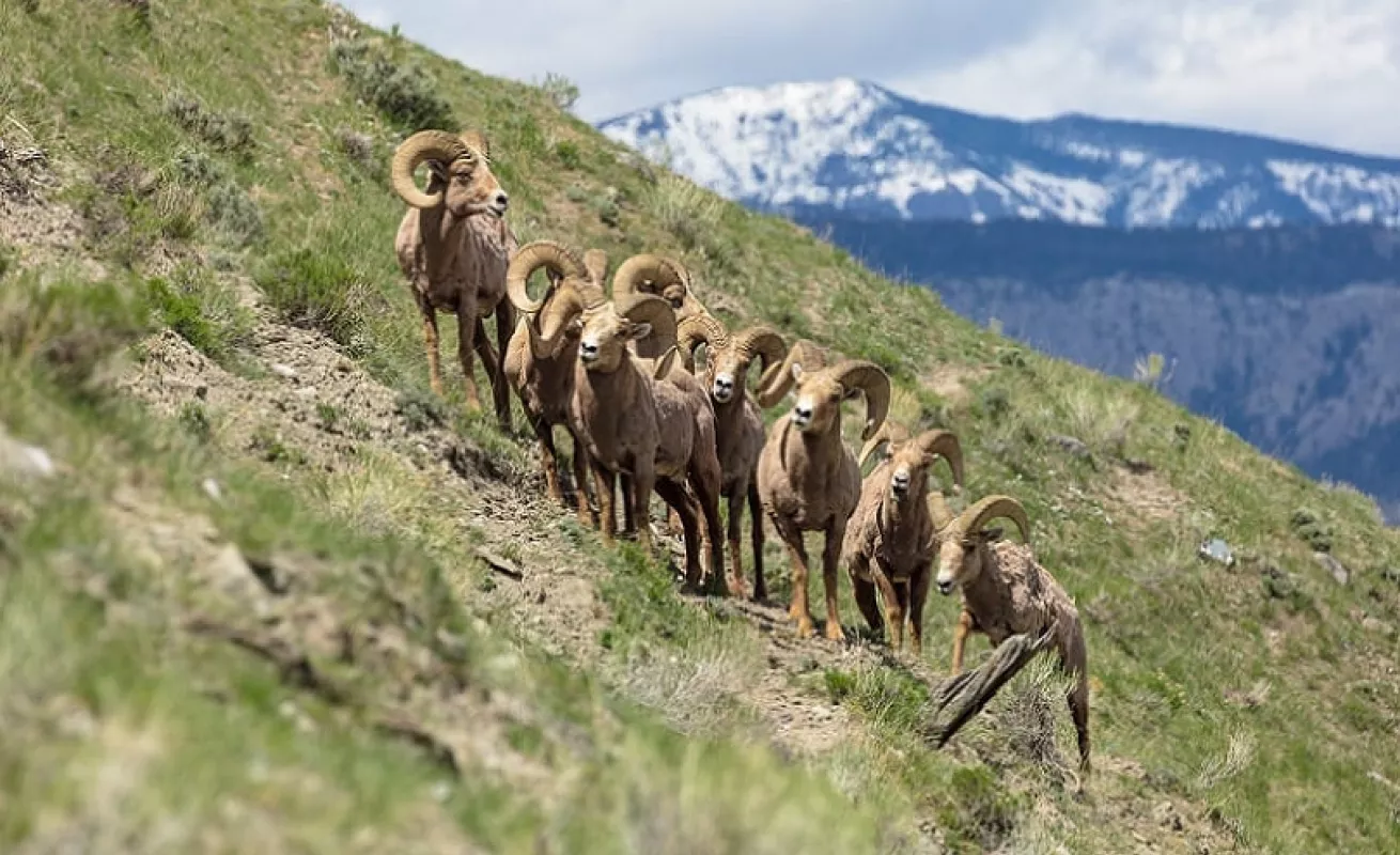 La gran belleza del Parque Nacional de Yellowstone (Fotos)