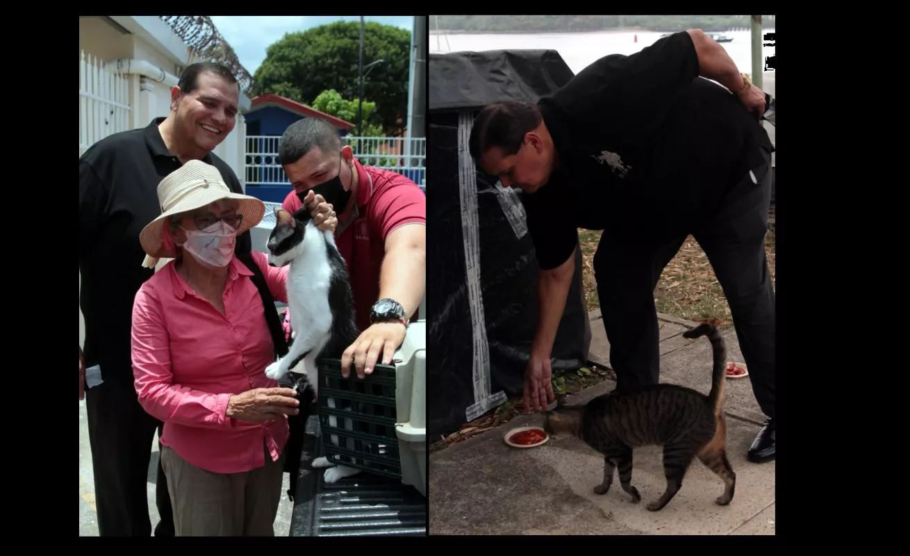 Hospital para mascotas, proyecto con el sello de Chello 