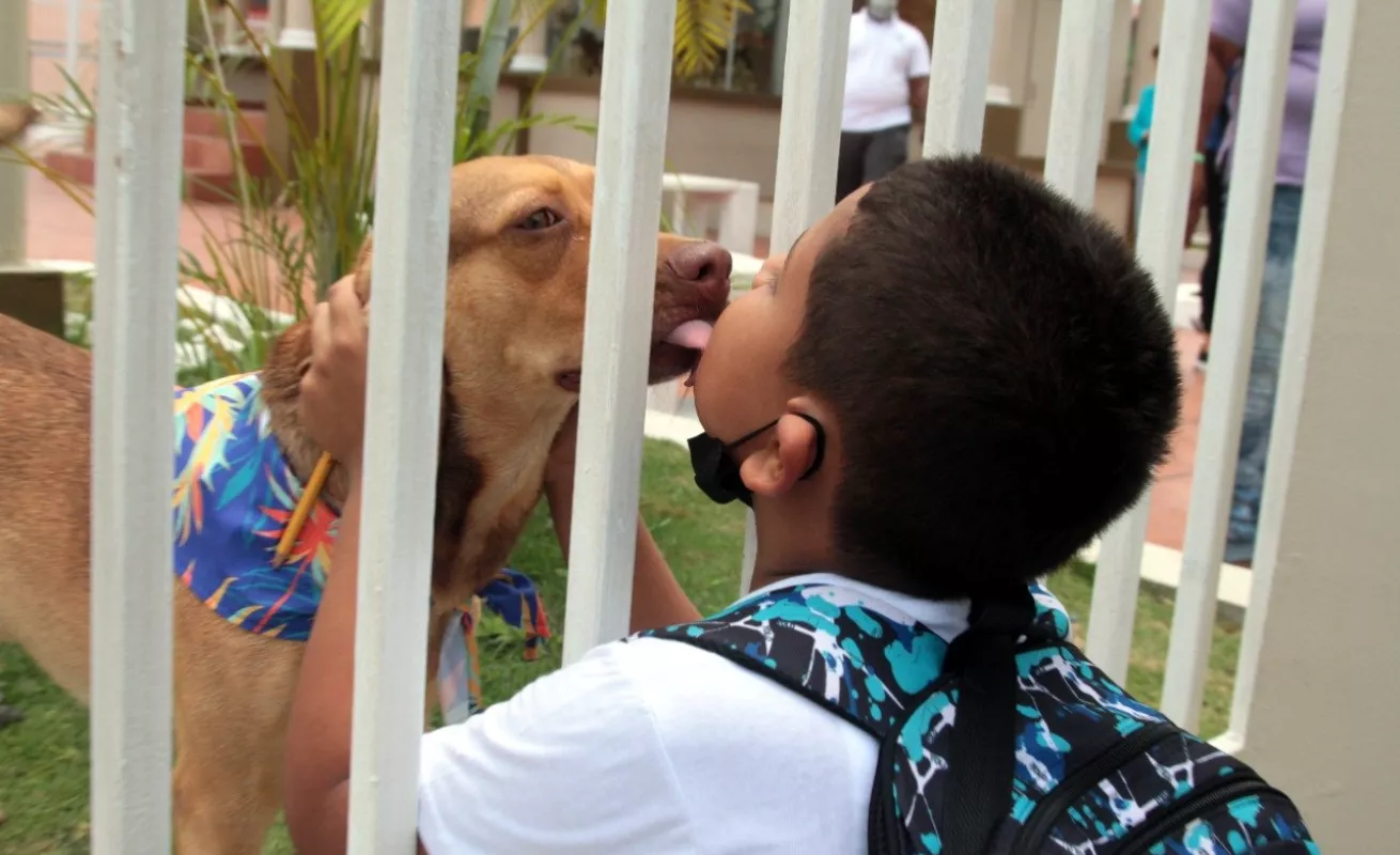 Hospital para mascotas, proyecto con el sello de Chello 