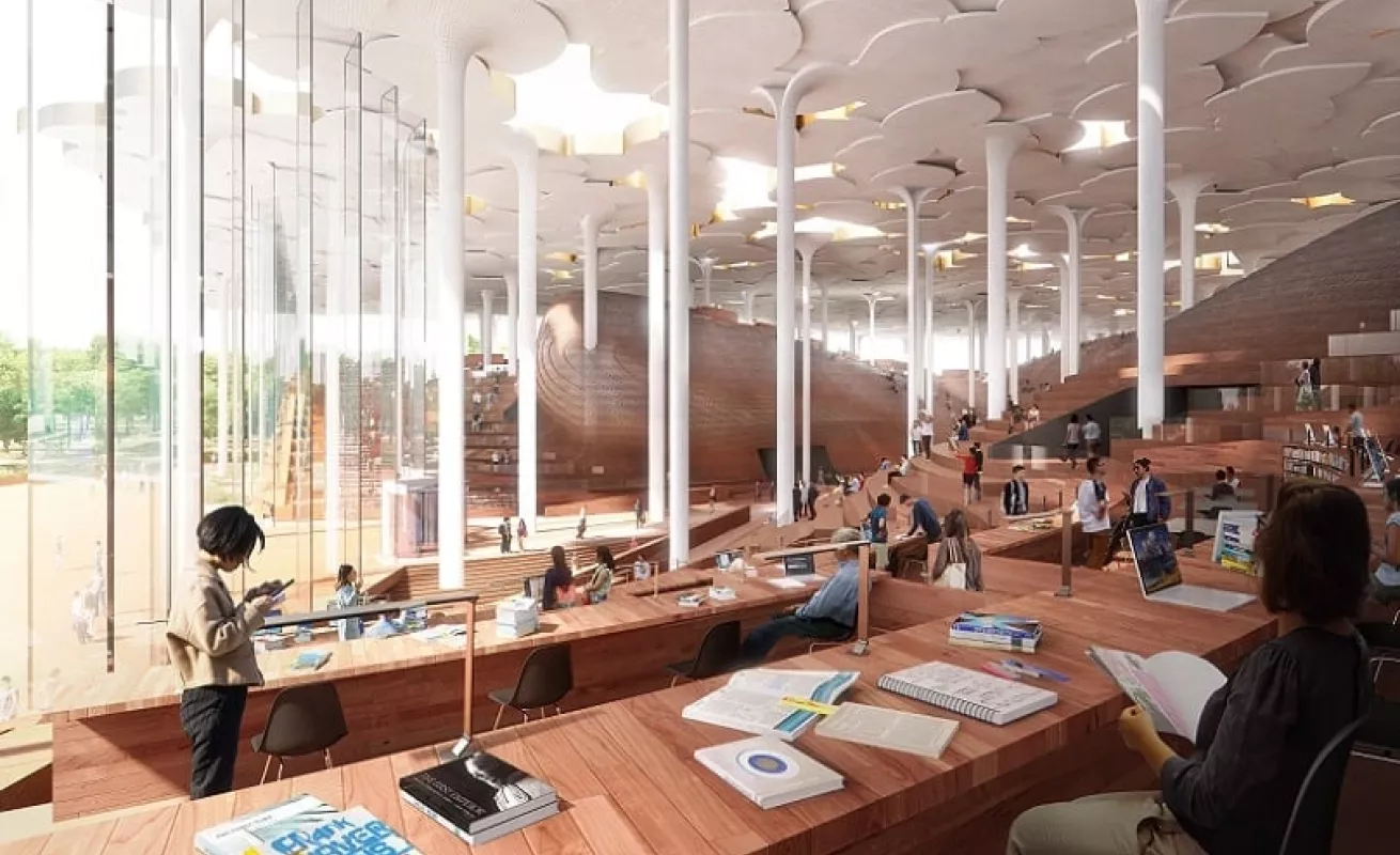 La biblioteca-bosque (Fotos)