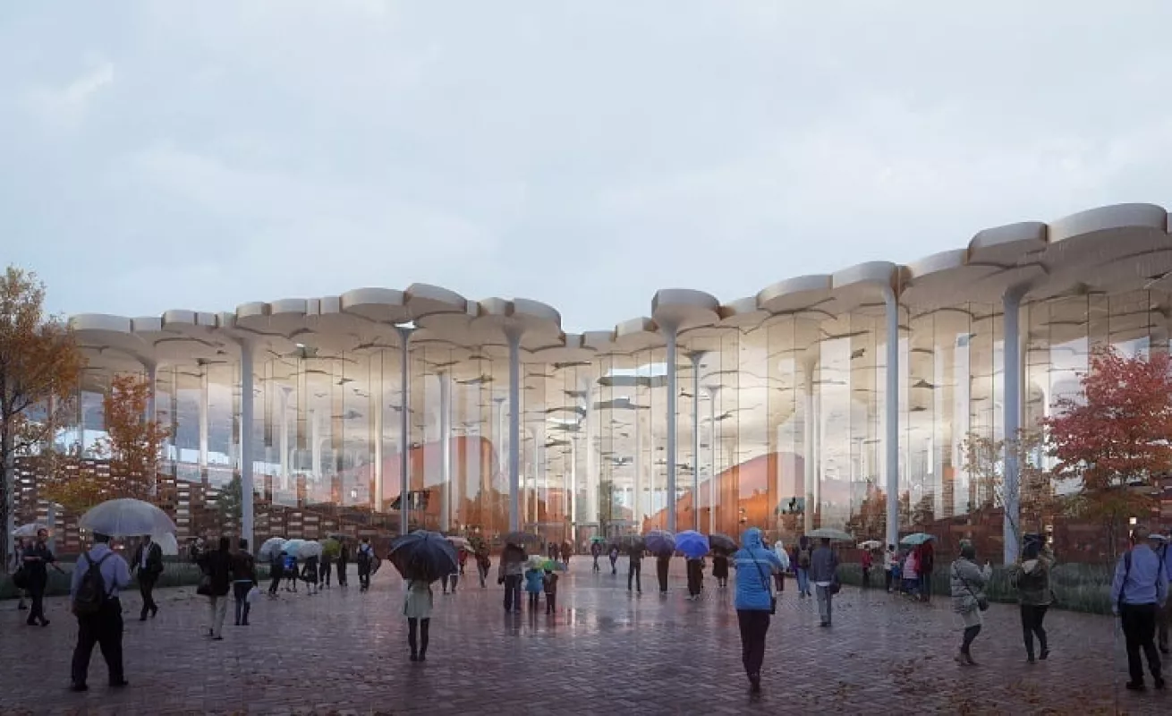 La biblioteca-bosque (Fotos)