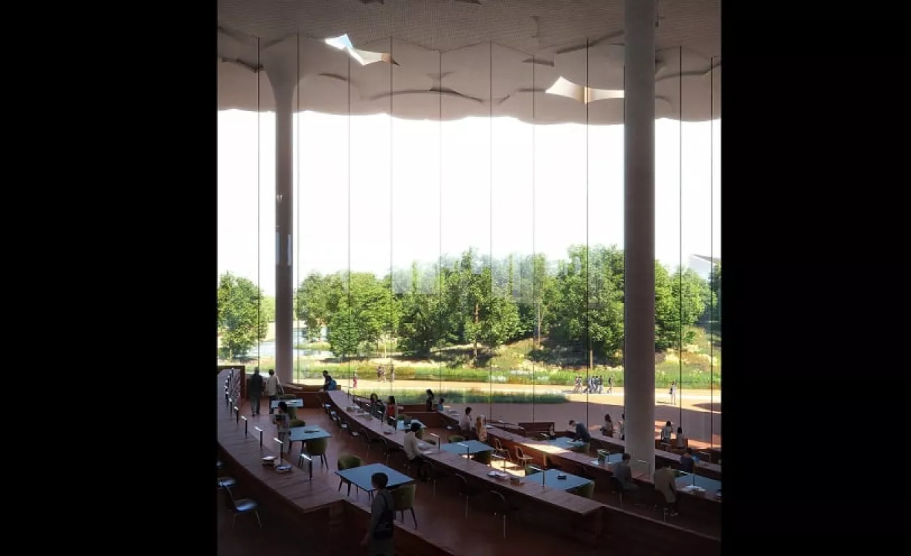 La biblioteca-bosque (Fotos)