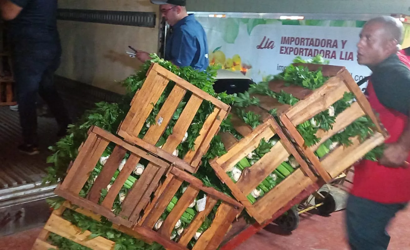  Convoy de camiones llegan a Merca Panamá 