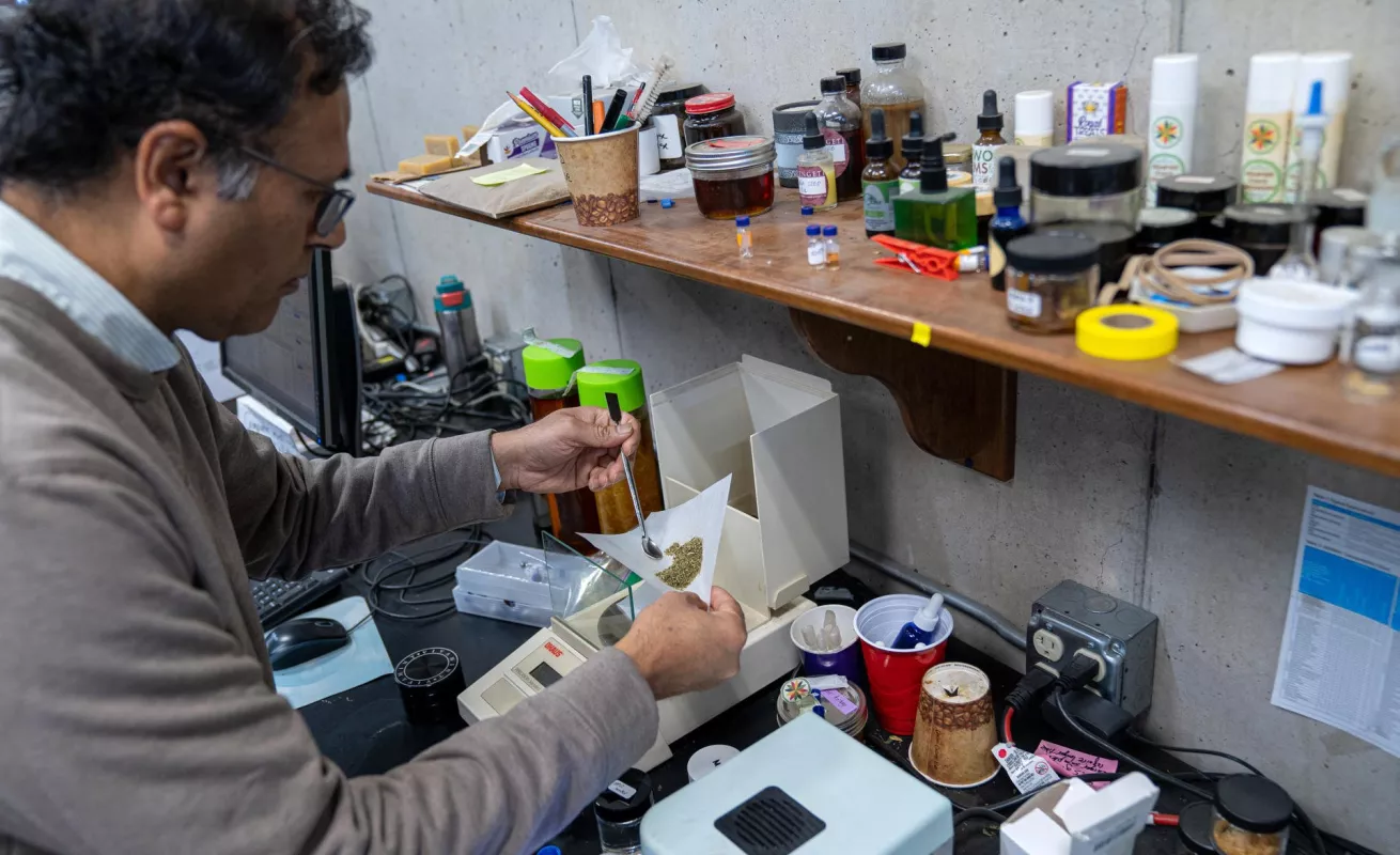 La primera cosecha de marihuana de Nueva York ya está lista para ser vendida