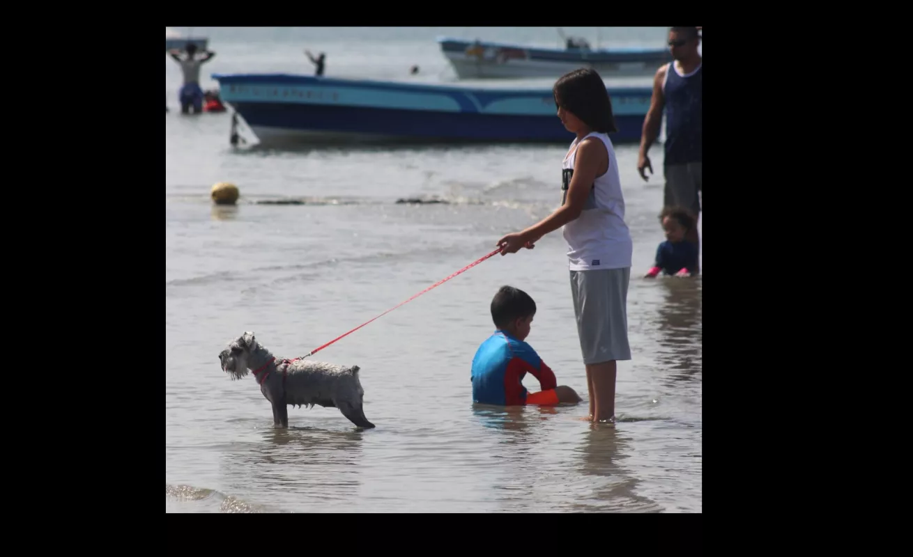 Chapuzón del 1 de enero para sacarse la sal 