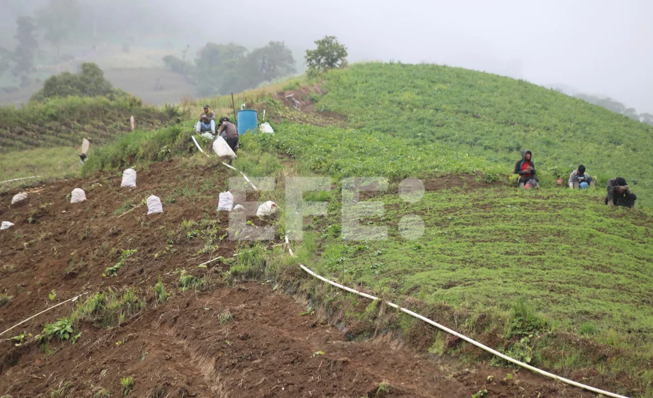 Agricultores lo pierden todo en medio de la crisis minera