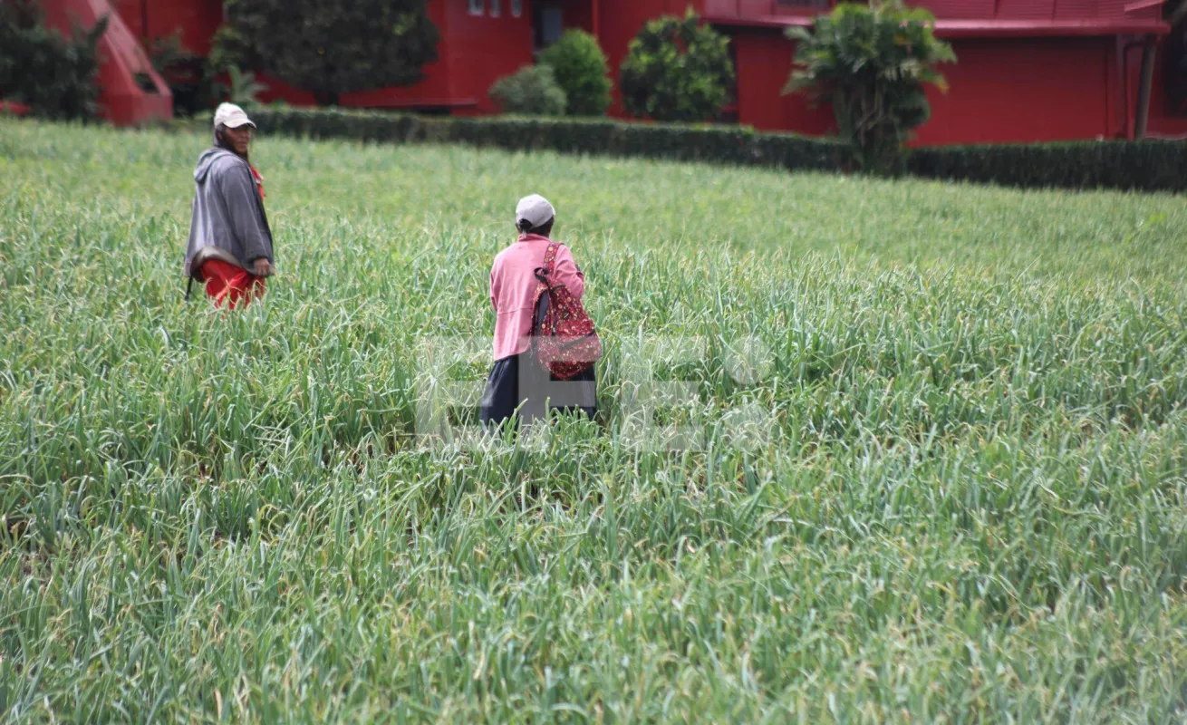 Agricultores lo pierden todo en medio de la crisis minera