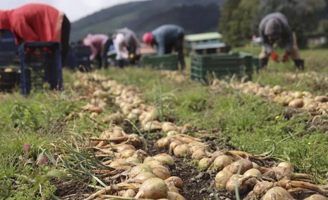 Agricultores lo pierden todo en medio de la crisis minera