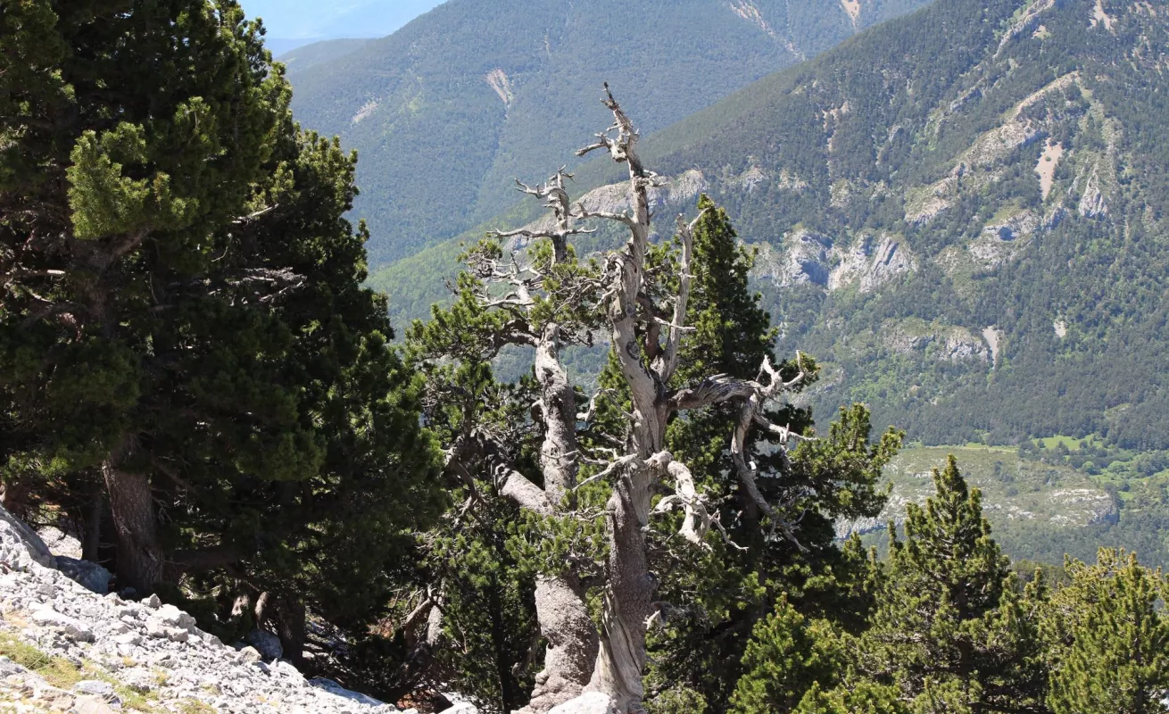 Así va el mundo en fotos 