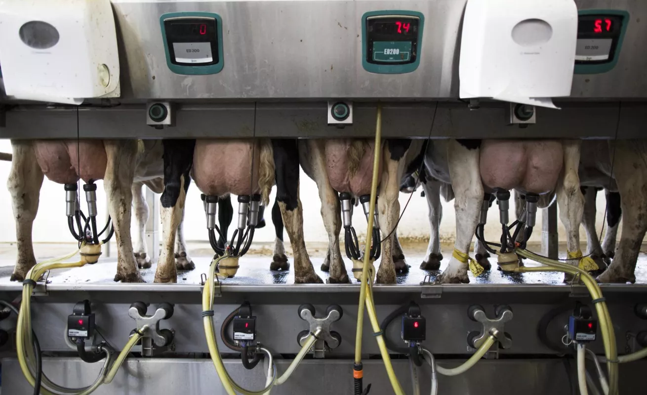 Así va el mundo en fotos 